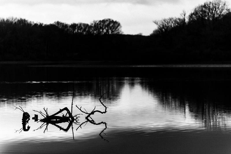 2017_12_17_Etang de Vaux (0034).jpg - Etang de Vaux (Decembre 2017)